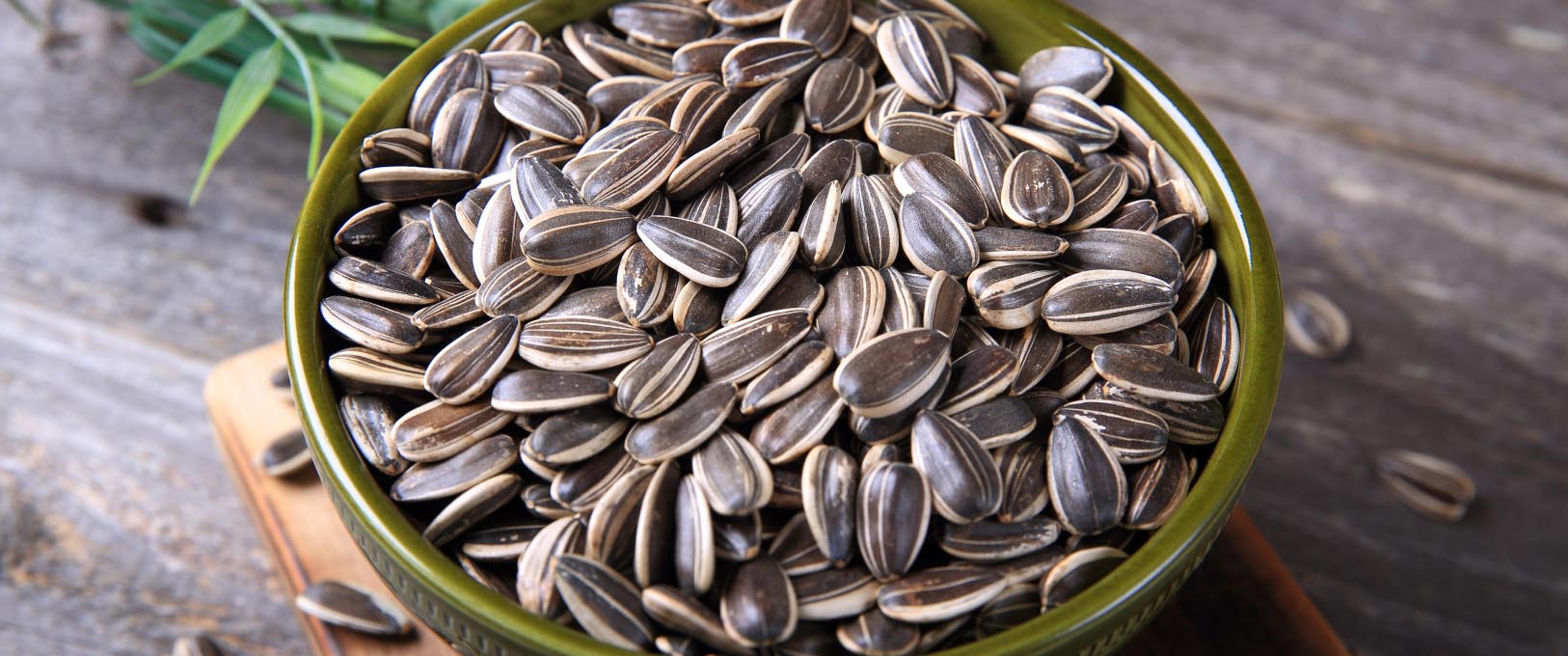 Everything That You Need To Know About Sunflower Seeds J C s Quality 